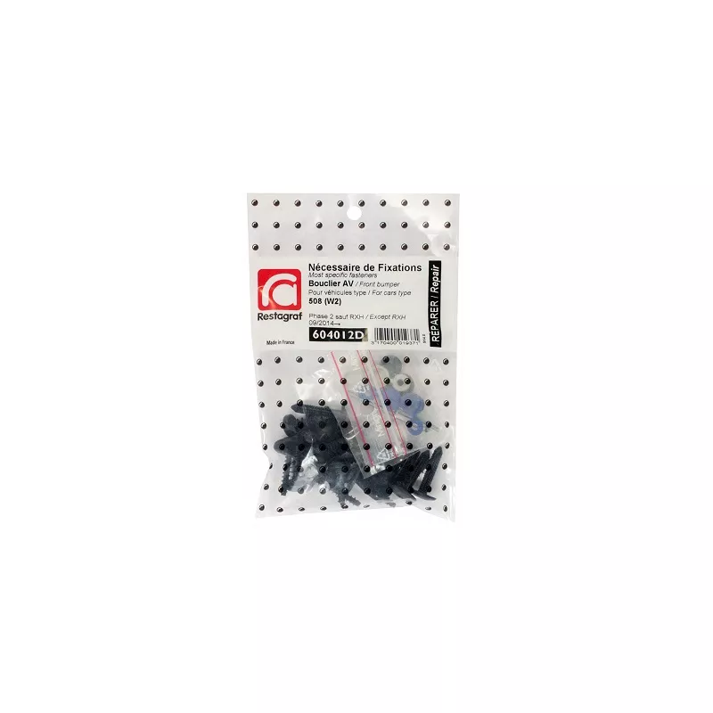 Kit de clip de fixation, carrosserie RESTAGRAF 604012D