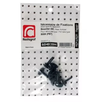 Kit de clip de fixation, carrosserie RESTAGRAF 604020H