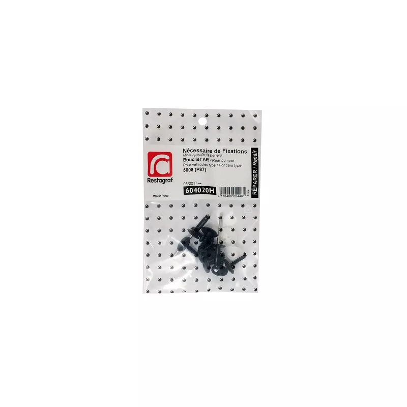 Kit de clip de fixation, carrosserie RESTAGRAF 604020H