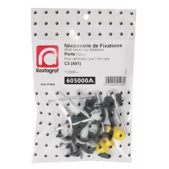 Kit de clip de fixation, carrosserie RESTAGRAF 605000A