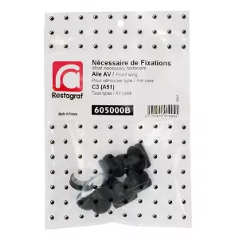 Kit de clip de fixation, carrosserie RESTAGRAF