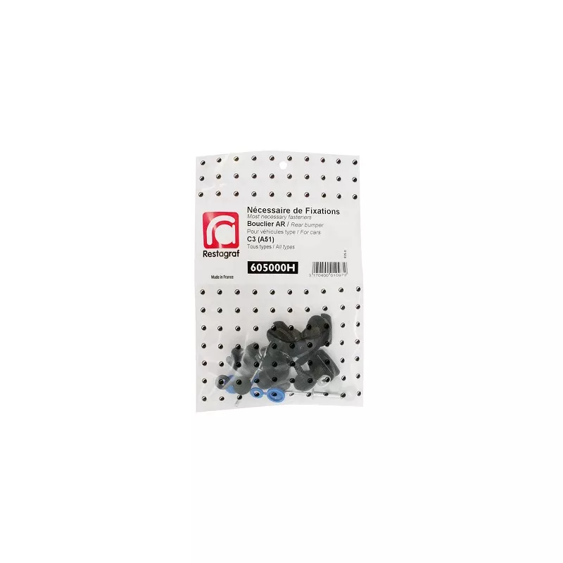 Kit de clip de fixation, carrosserie RESTAGRAF 605000H