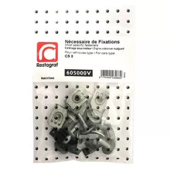 Kit de clip de fixation, carrosserie RESTAGRAF 605000V
