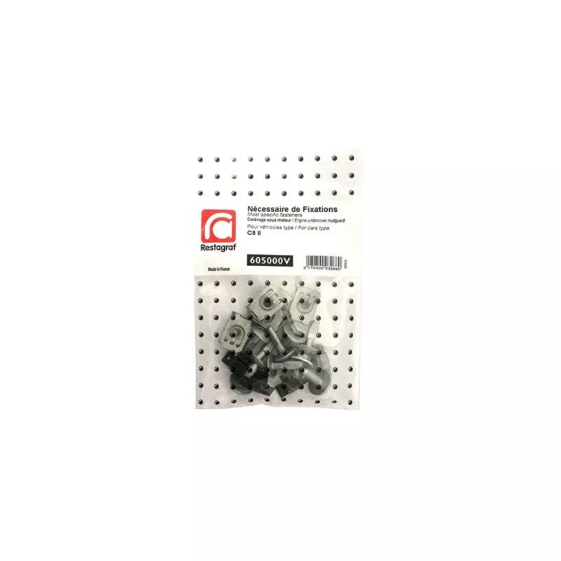 Kit de clip de fixation, carrosserie RESTAGRAF 605000V