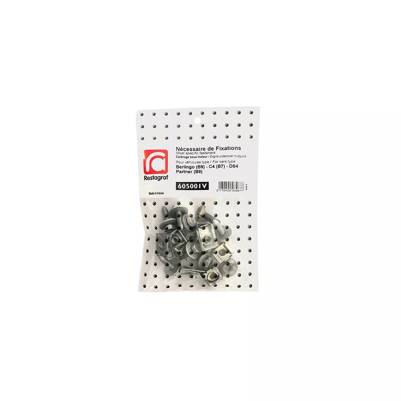 Kit de clip de fixation, carrosserie RESTAGRAF 605001V