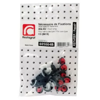 Kit de clip de fixation, carrosserie RESTAGRAF