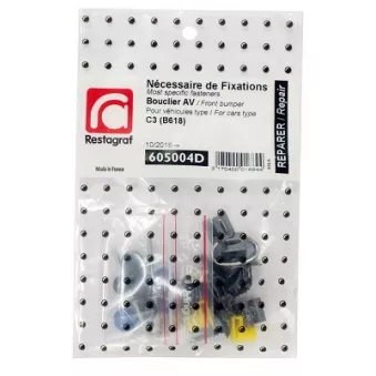 Kit de clip de fixation, carrosserie RESTAGRAF 605004D