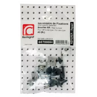 Kit de clip de fixation, carrosserie RESTAGRAF 607000H