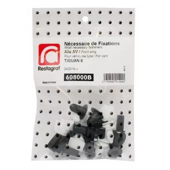 Kit de clip de fixation, carrosserie RESTAGRAF 608000B