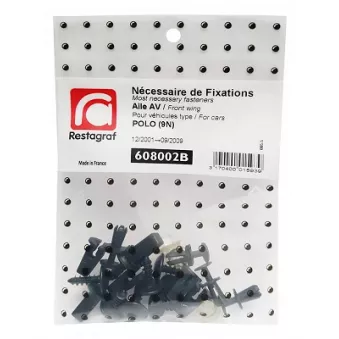 Kit de clip de fixation, carrosserie RESTAGRAF 608002B