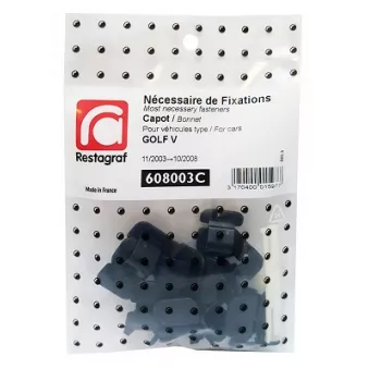 Kit de clip de fixation, carrosserie RESTAGRAF 608003C