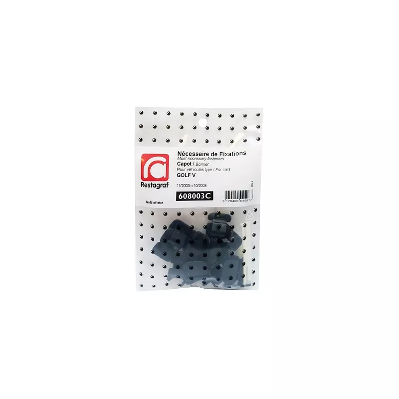 Kit de clip de fixation, carrosserie RESTAGRAF 608003C