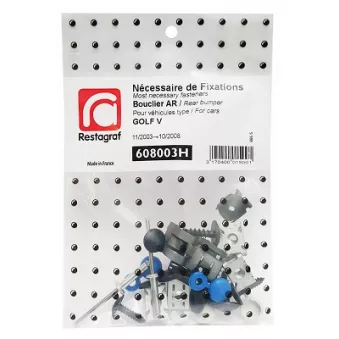 Kit de clip de fixation, carrosserie RESTAGRAF 608003H