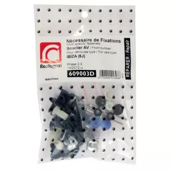 Kit de clip de fixation, carrosserie RESTAGRAF 609003D