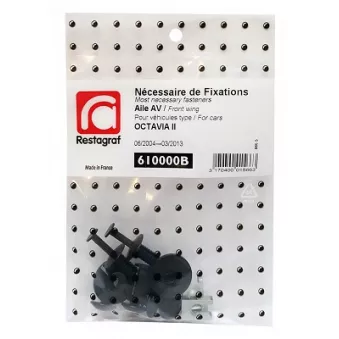Kit de clip de fixation, carrosserie RESTAGRAF 610000B
