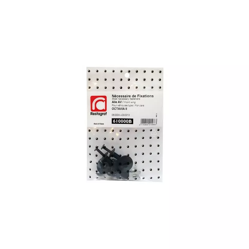Kit de clip de fixation, carrosserie RESTAGRAF 610000B