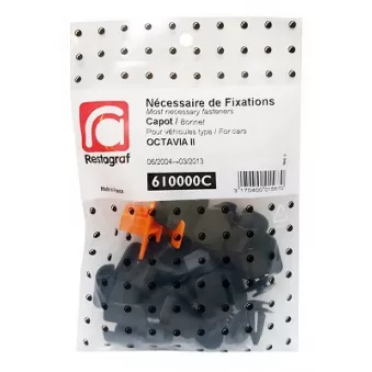 Kit de clip de fixation, carrosserie RESTAGRAF 610000C