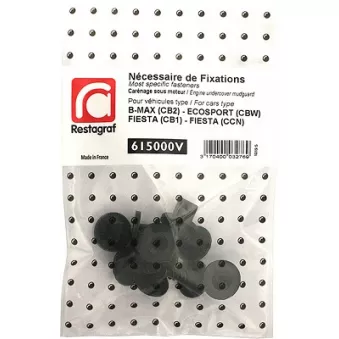 Kit de clip de fixation, carrosserie RESTAGRAF 615000V