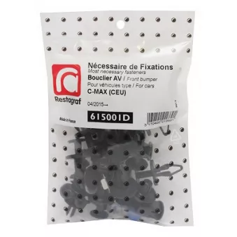 Kit de clip de fixation, carrosserie RESTAGRAF 615001D