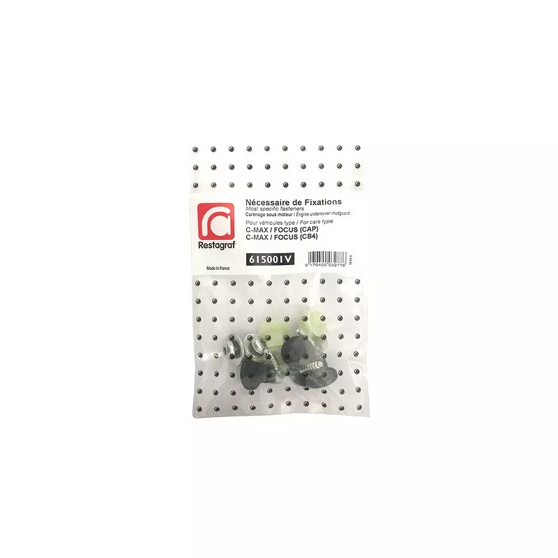 Kit de clip de fixation, carrosserie RESTAGRAF 615001V
