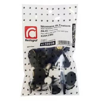 Kit de clip de fixation, carrosserie RESTAGRAF
