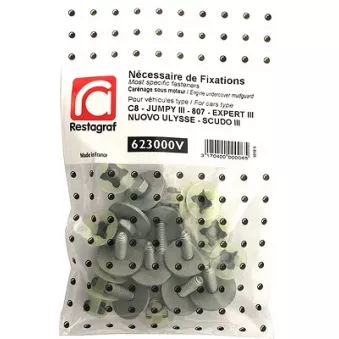 Kit de clip de fixation, carrosserie RESTAGRAF 623000V