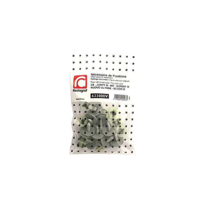 Kit de clip de fixation, carrosserie RESTAGRAF 623000V