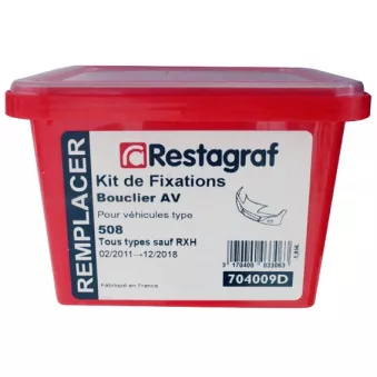 Kit de clip de fixation, carrosserie RESTAGRAF 704009D