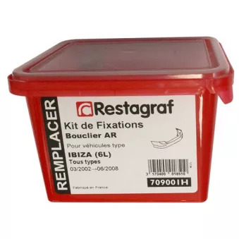 Kit de clip de fixation, carrosserie RESTAGRAF 709001H