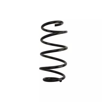 Ressort de suspension MAGNUM TECHNOLOGY