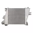 Intercooler, échangeur THERMOTEC DA1012TT - Visuel 2