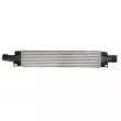 Intercooler, échangeur THERMOTEC DAA024TT - Visuel 1