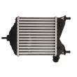 Intercooler, échangeur THERMOTEC DAF014TT - Visuel 2