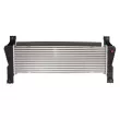 Intercooler, échangeur THERMOTEC DAG026TT - Visuel 2