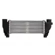 Intercooler, échangeur THERMOTEC DAG031TT - Visuel 1