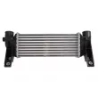 Intercooler, échangeur THERMOTEC DAG031TT - Visuel 2
