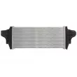 Intercooler, échangeur THERMOTEC DAM029TT - Visuel 2