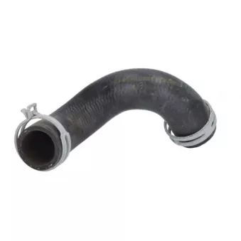 Durite de radiateur THERMOTEC DWB303TT