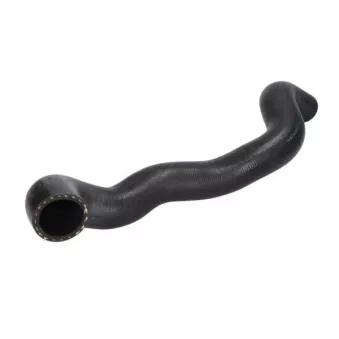 Durite de radiateur THERMOTEC DWG010TT