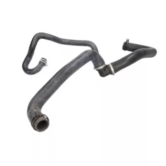 Durite de radiateur THERMOTEC DWG099TT