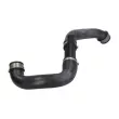 Durite de radiateur THERMOTEC DWM166TT - Visuel 2