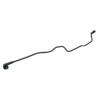 Durite de radiateur THERMOTEC DWV038TT