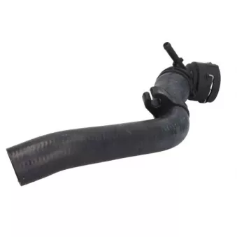 Durite de radiateur THERMOTEC DWW381TT