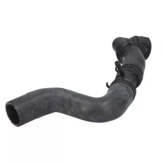 Durite de radiateur THERMOTEC DWW536TT