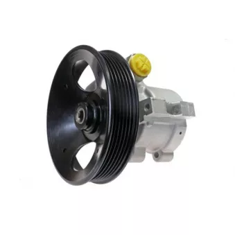 Pompe hydraulique, direction LAUBER 55.9902