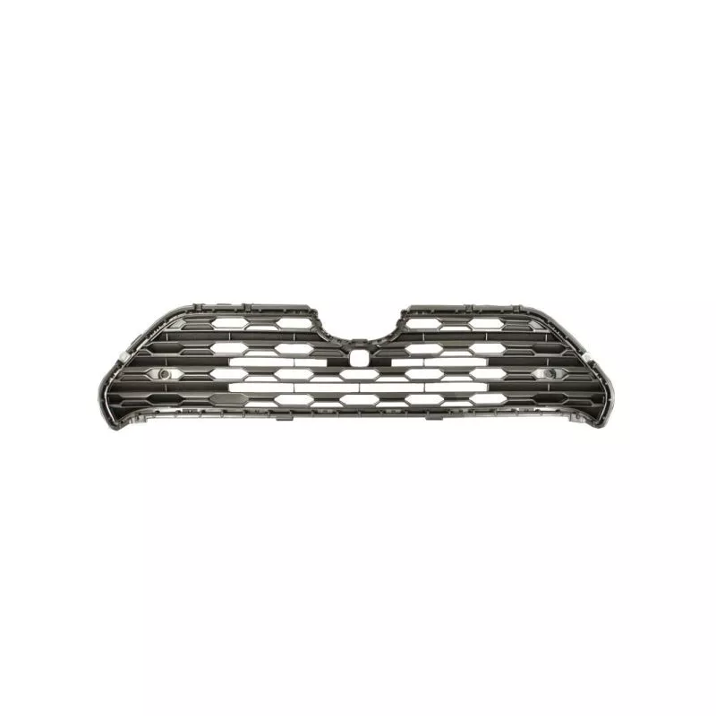 Grille de radiateur BLIC 5601-00-8186991P