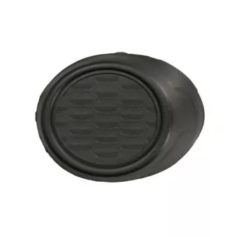 Grille de ventilation, pare-chocs BLIC 5703-05-2537922P