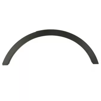 Baguette et bande protectrice, aile avant gauche BLIC 5703-08-2579377P