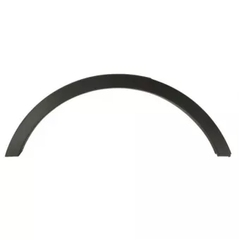 Baguette et bande protectrice, aile avant droit BLIC 5703-08-2579378P