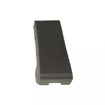 Baguette et bande protectrice, aile avant gauche BLIC 5703-08-2598371P